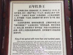 -连云港云龙涧原生态风景区
