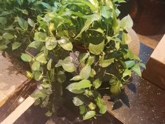 -洛阳宴·洛阳菜(南昌路店)