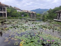 -广州都喜泰丽温泉度假酒店