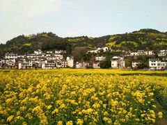 -新安江山水画廊风景区