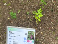 -石排湾郊野公园
