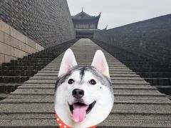 -相门城墙文化休闲景区