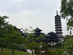 -奉贤海滩