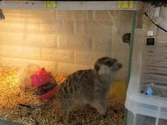 -平行世界·猫咖(首经贸店)