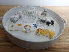-猫里有甜