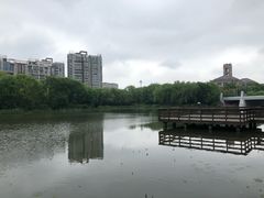 -新江湾城公园