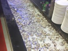 -千百叶海鲜自助餐厅(万达广场店)