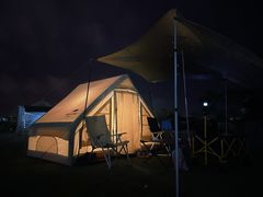 -春花秋色城市公园