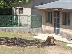 -西安秦岭野生动物园