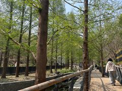 -白水寺森林公园
