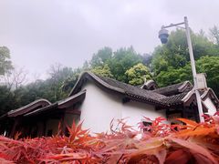 -岳麓书院