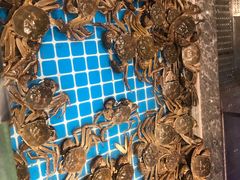 -一方渔歌蒸汽海鲜自助(文化路万达广场店)