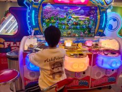 -卡通尼·Safari非洲探索乐园·生日会(金桥国际商业广场店)