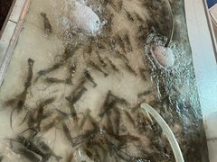 -芭提雅Amporn Seafood自助餐厅