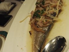 -老洋房花园饭店(绍兴路店)