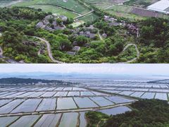 -蛇蟠岛