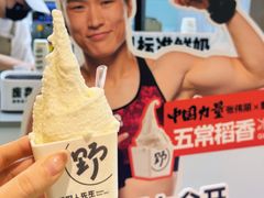 -野人先生现做冰淇淋(北京悠唐购物中心店)