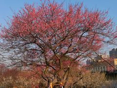 -杭州半山国家森林公园