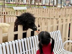 -盈香心动乐园