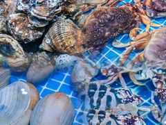 -三亚火车头万人海鲜广场