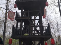 -合肥滨湖国家森林公园