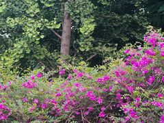 -燕郊植物园