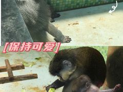 -太原动物园