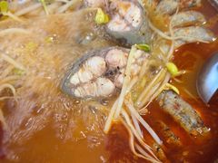 -弘烨 贵州酸汤 鱼火锅(东财店)