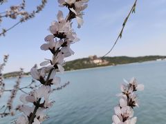 -颐和园