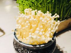 金针菇-左庭右院鲜牛肉火锅(新梅广场店)