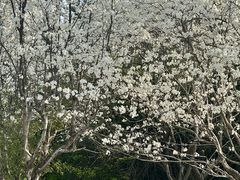 -郑州植物园