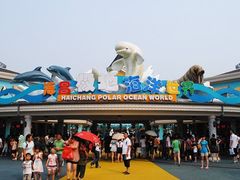 -海合安成都极地海洋公园