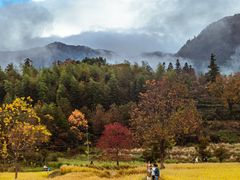 -塔川景区