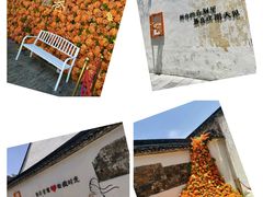 -青果巷历史文化街区