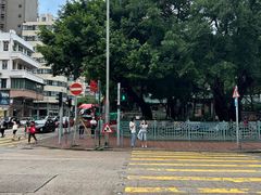 -九龙公园