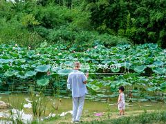 -白鹭湾湿地公园