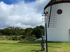 -济州森林小火车生态公园