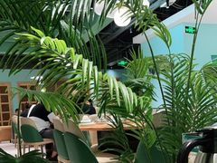 -春润大地海南椰子鸡(沙井京基百纳广场店)