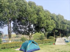 -羊山湖公园