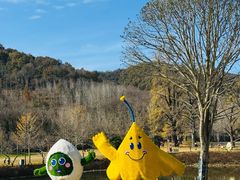 -千年银杏谷文化旅游区