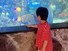 -烟台海昌鲸鲨海洋公园