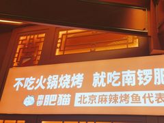 -南锣肥猫·麻辣烤鱼·16年现烤现卖(财富购物中心店)