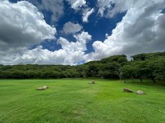 -苏州上方山国家森林公园