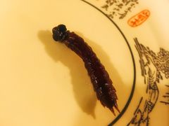 -多哥水傣味餐厅(司马巷店)