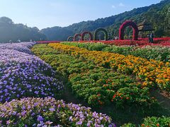 -广州市石门国家森林公园