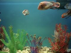 -多彩贵州城极地海洋世界