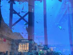 -迪拜水族馆及水下动物园