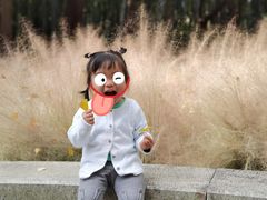 -苏州河梦清园环保主题公园