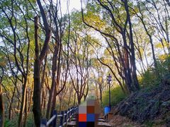-苏州上方山国家森林公园