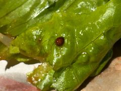 -炽城·烤肉名家(鸿达中央广场店)